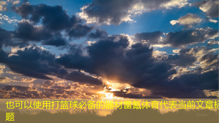 打篮球必备的器材雷氪体育
