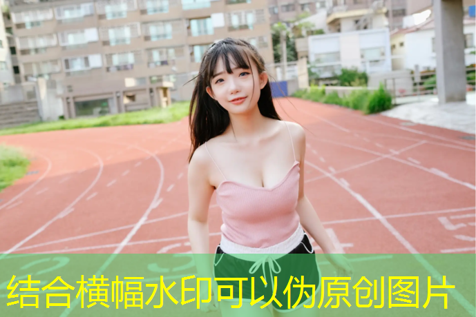 成年足球队器材鲸猜体育