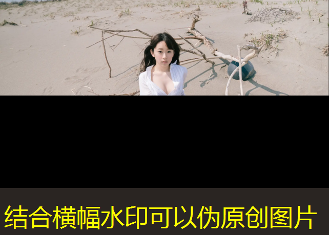 跆拳道电子护具软件