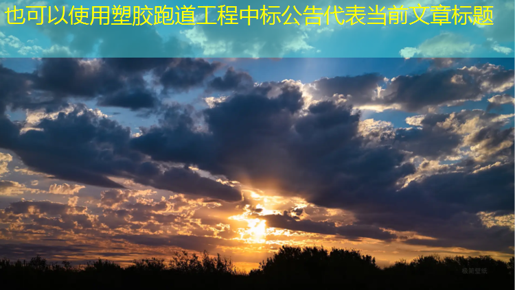塑胶跑道工程中标公告