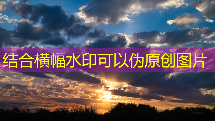 吴忠环保塑胶跑道规格型号