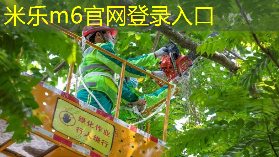 米乐m6官网：网球拍打出火花怎么回事