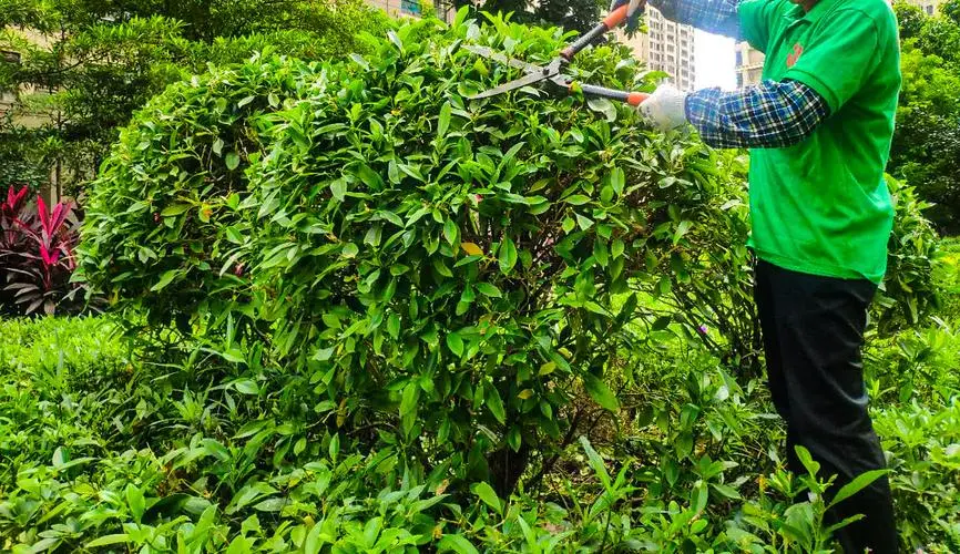 海德网球拍26寸260克