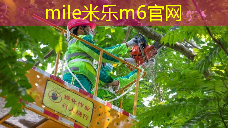米乐：网球拍超大拍面怎么选