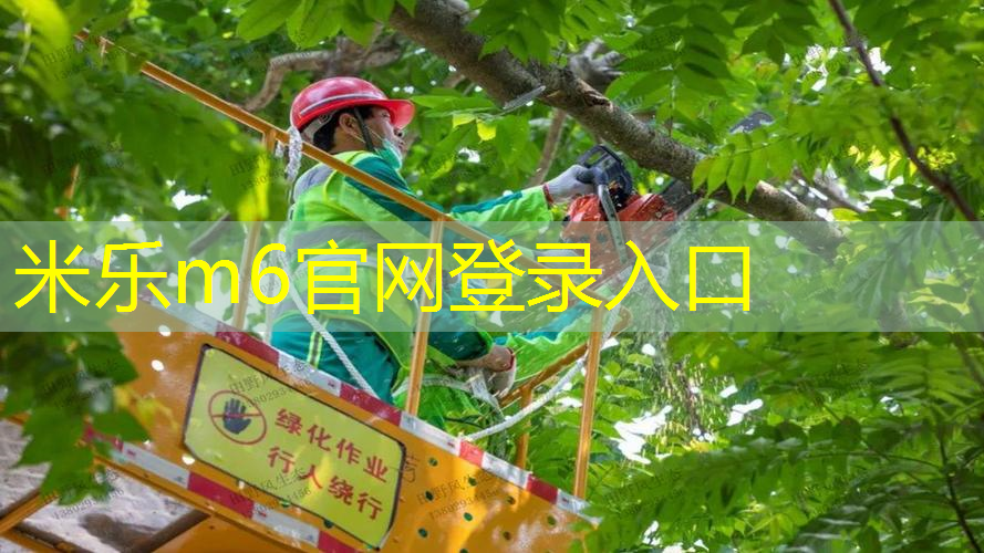 网球拍有什么特点和用途