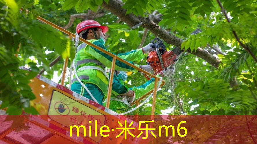 米乐：瑜伽垫和网球拍的区别