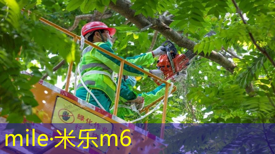 米乐m6官网登录入口：网球拍柄的粗细优缺点分析