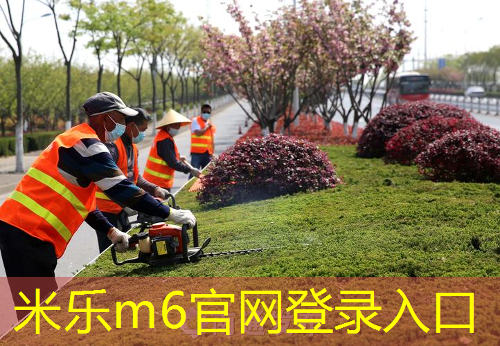 mile米乐m6官网：两人用的网球拍夹网球技巧