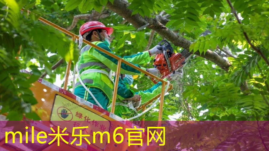 米乐：网球拍正确的握拍方式是