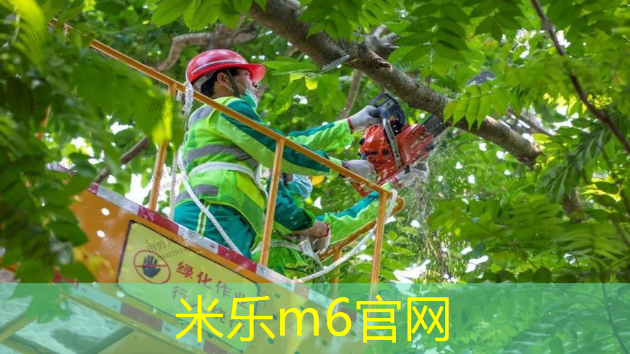 米乐m6官网登录入口：400米8道塑胶跑道面积