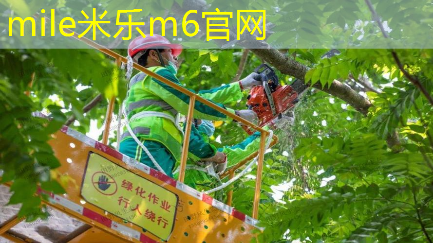 米乐m6官网：乒乓球台的长度和宽度分别