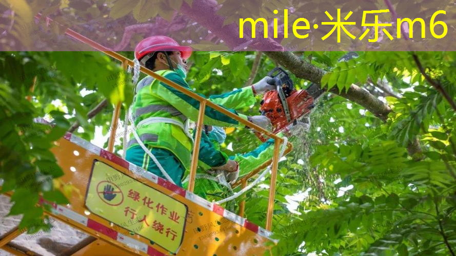 室外乒乓球台有多厚