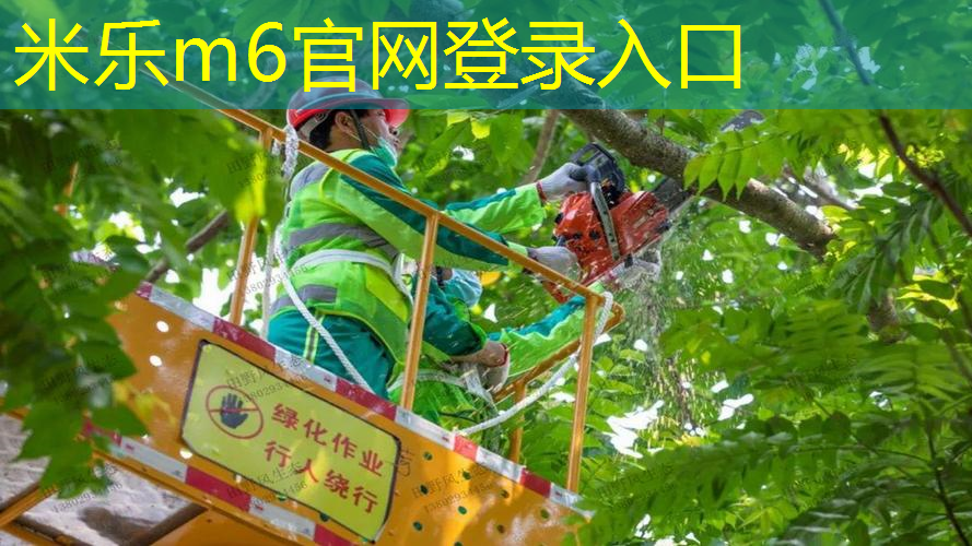 大庆哪里可以修网球拍杆