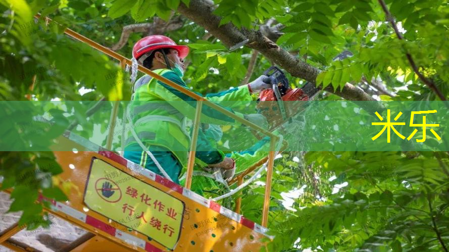 网球拍打出火花怎么回事