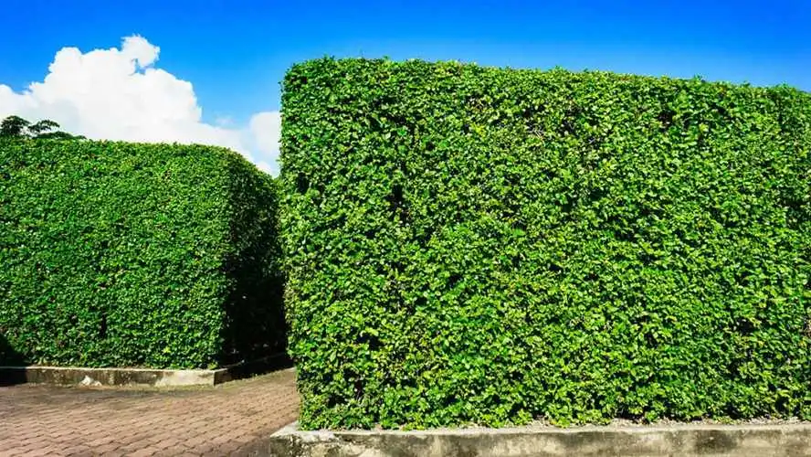 网球拍空拍重量与穿线重量
