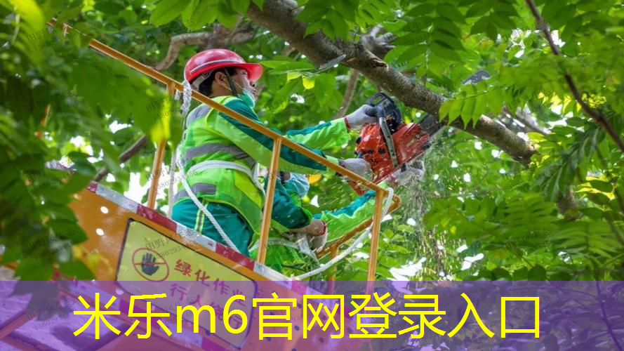 新手怎样选择网球拍杆材质