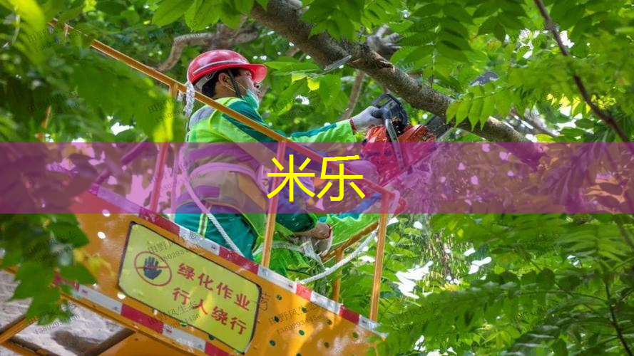 网球拍柄的粗细优缺点分析
