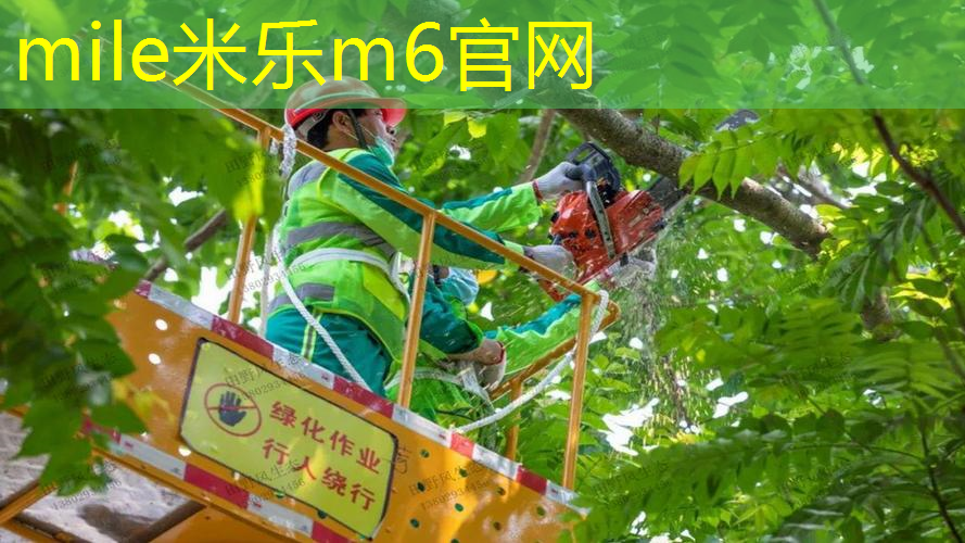 发球网球拍握法图解教学