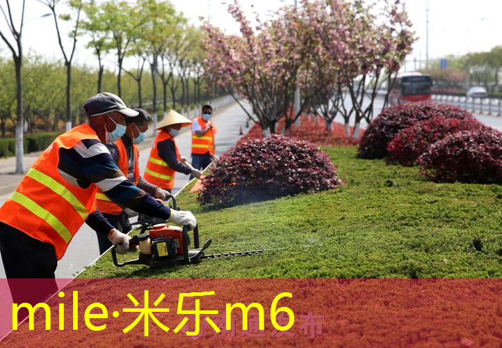 碳素款网球拍是全碳素吗_