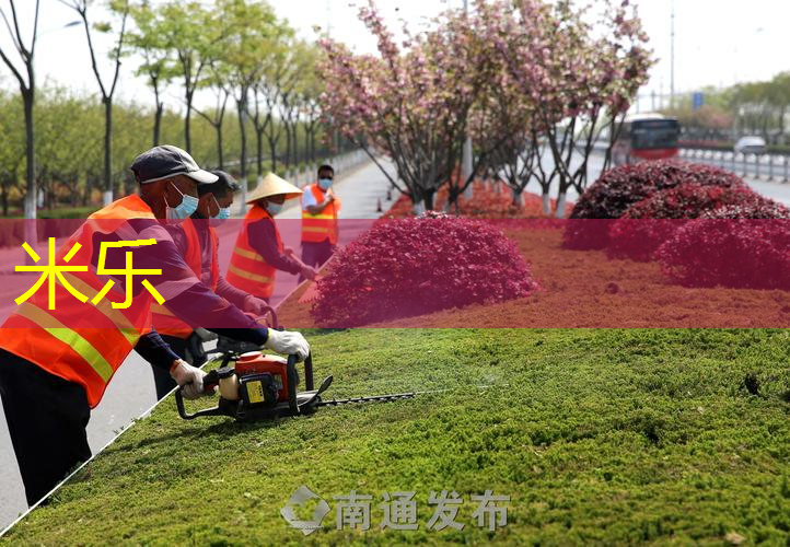 网球拍护线板怎么用的啊