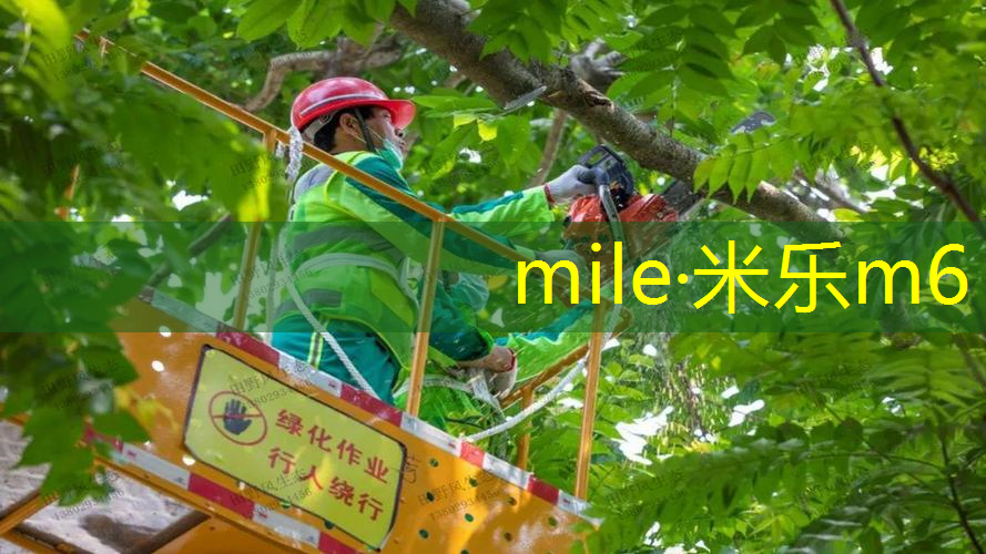 乒乓球台的长度和宽度分别